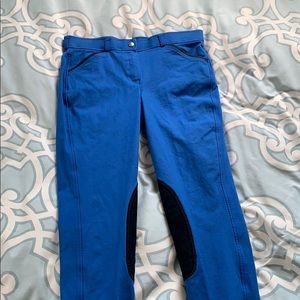 Brand new equestrian breeches